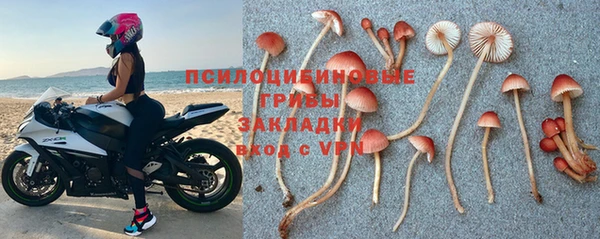 кокс Магас